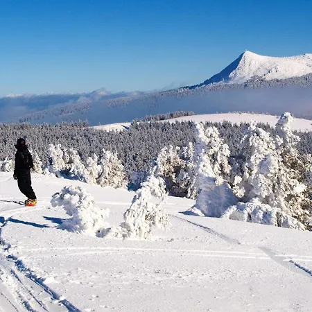 Maison D'architecte En Pleine Nature Сasa de vacaciones Arlempdes